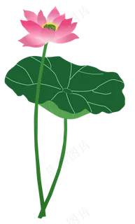 水彩荷花荷叶