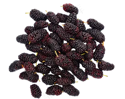 水果桑葚 水果桑葚