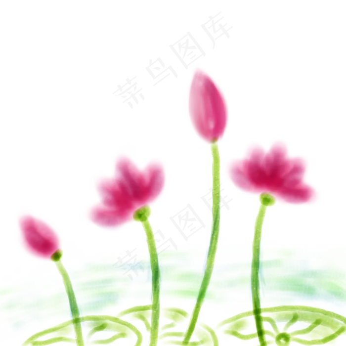中国风水彩淡彩荷花佛教文化荷花(2000X2000(DPI:72))psd模版下载