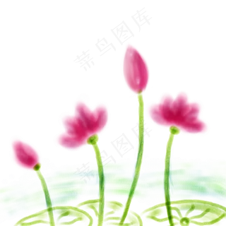 中国风水彩淡彩荷花佛教文化荷花