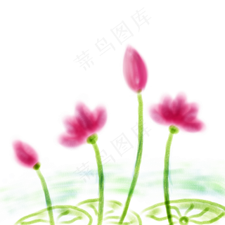 中国风水彩淡彩荷花佛教文化荷花