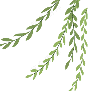卡通植物枝条免抠图