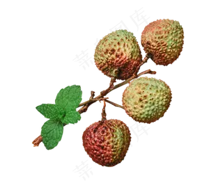 一串荔枝,免抠元素