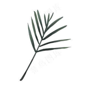 春天绿色水彩树叶