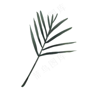 春天绿色水彩树叶