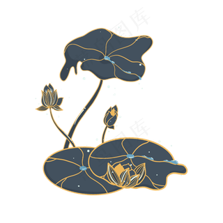 小暑大暑清凉莲花荷叶植物