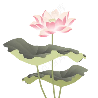 手绘花夏日池塘荷花元素