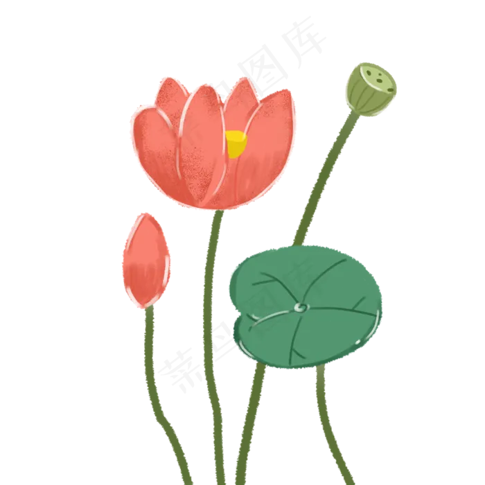 植物荷花荷叶卡通元素(2000X2000(DPI:300))psd模版下载