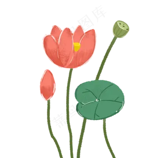 植物荷花荷叶卡通元素