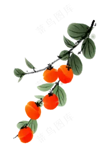 水墨中国风柿子枝丫