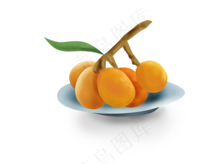 手绘夏季水果枇杷果