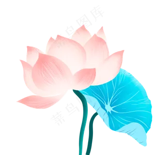 彩色水彩荷花植物