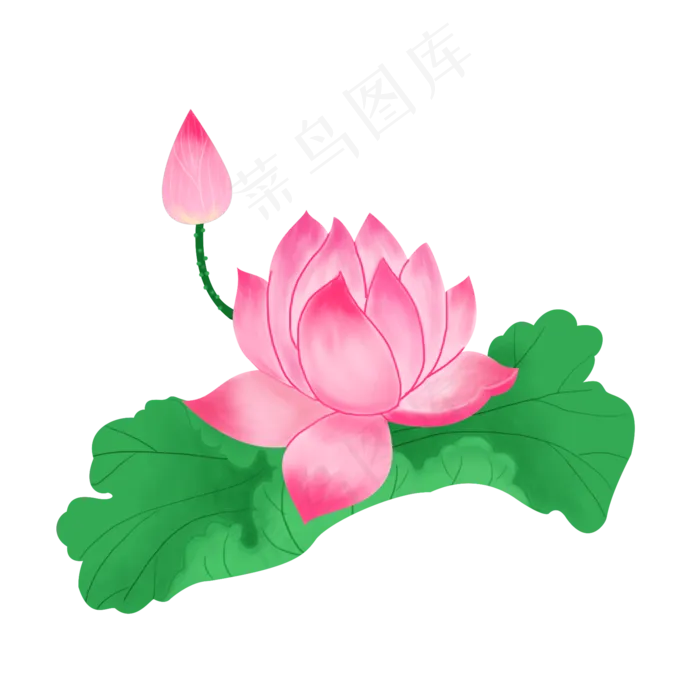 粉色的荷花(2000X2000(DPI:300))psd模版下载