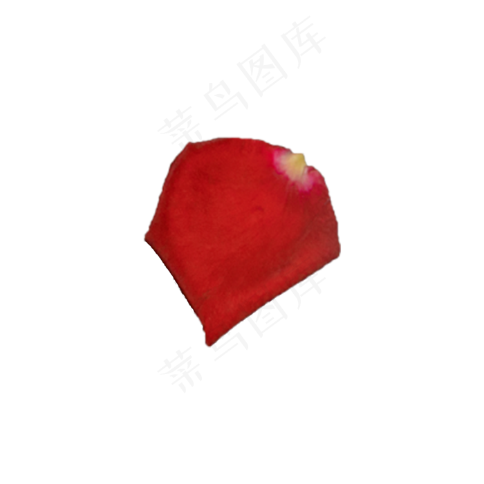 红玫瑰花瓣实拍（png免抠）(2000X2000(DPI:72))psd模版下载