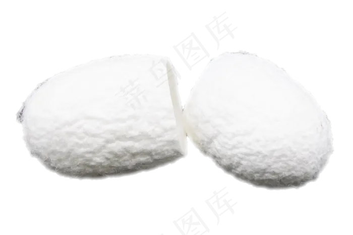 白色桑蚕蚕茧,免抠元素(2998*2000px 300 dpi )