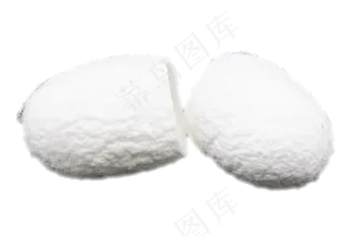 白色桑蚕蚕茧,免抠元素
