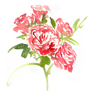 情人节玫瑰花束