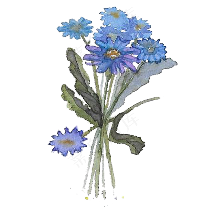 手绘水彩蓝紫色系雏菊花朵花束免
