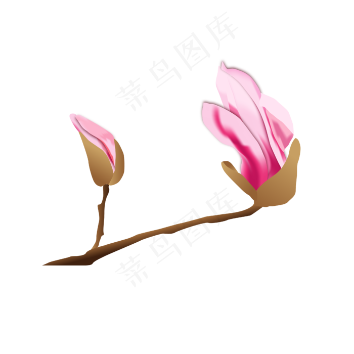 矢量免扣卡通玉兰花,免抠元素(4167*4167px 300 dpi )ai矢量模版下载