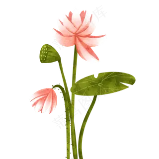 手绘艺术卡通荷花透明底免抠
