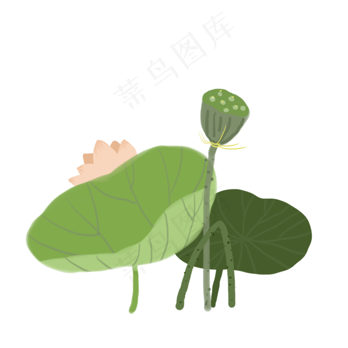 端午节免抠素材