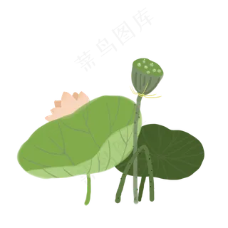 端午节免抠素材