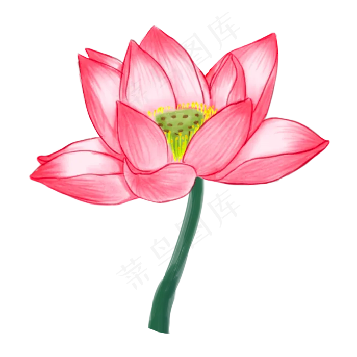 粉红色的莲花免抠图(2000X2000(DPI:300))psd模版下载