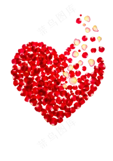 玫瑰花瓣组成的心形