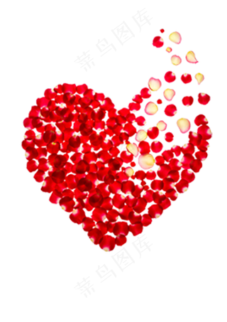 玫瑰花瓣组成的心形