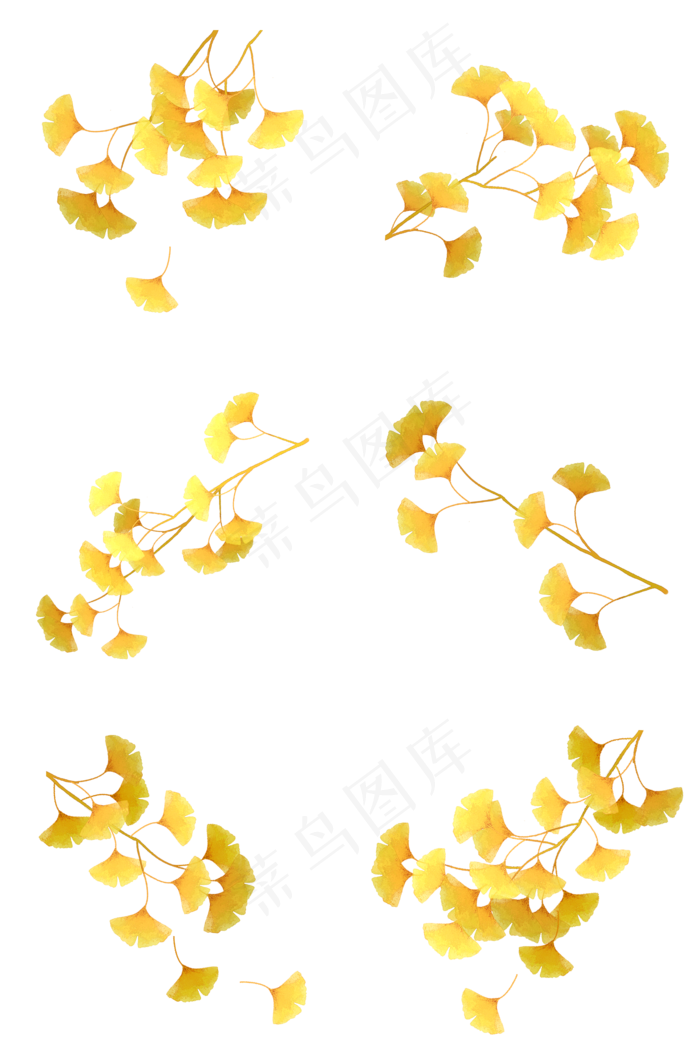 秋天银杏树枝合集