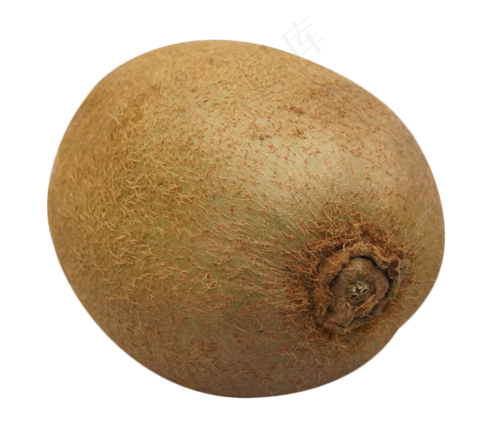 新鲜水果猕猴桃