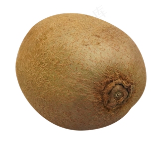 新鲜水果猕猴桃