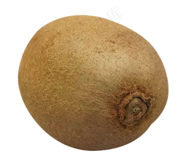 新鲜水果猕猴桃 新鲜水果猕猴桃