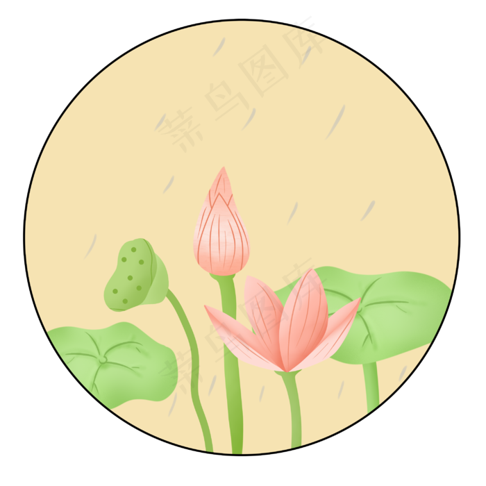 夏季在雨中绽放的荷花(3000X3000(DPI:300))psd模版下载