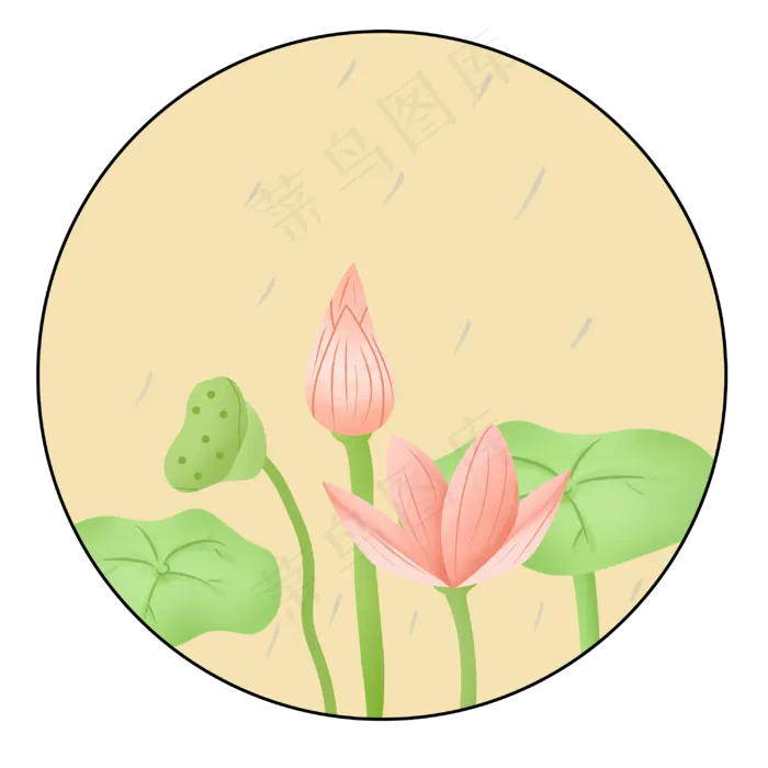 夏季在雨中绽放的荷花(3000X3000(DPI:300))psd模版下载