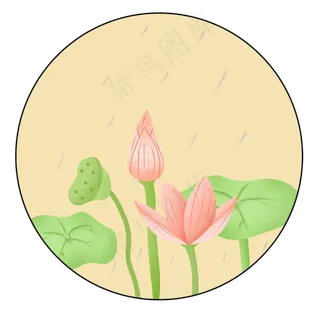 夏季在雨中绽放的荷花