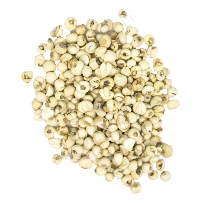 川贝母干货,免抠元素(2500*2500px 300 dpi )