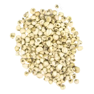 川贝母干货,免抠元素