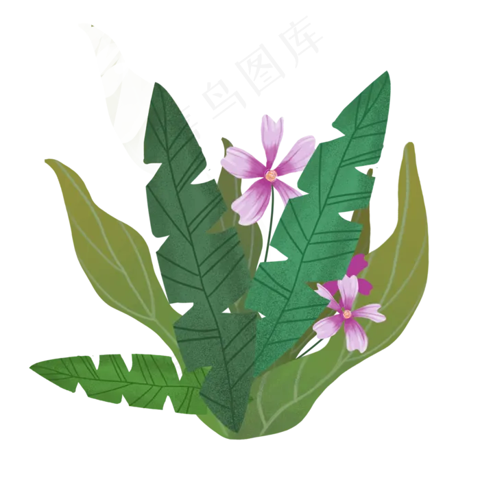 热带植物树叶组合(2000X2000(DPI:300))psd模版下载