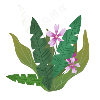 热带植物树叶组合