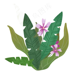 热带植物树叶组合