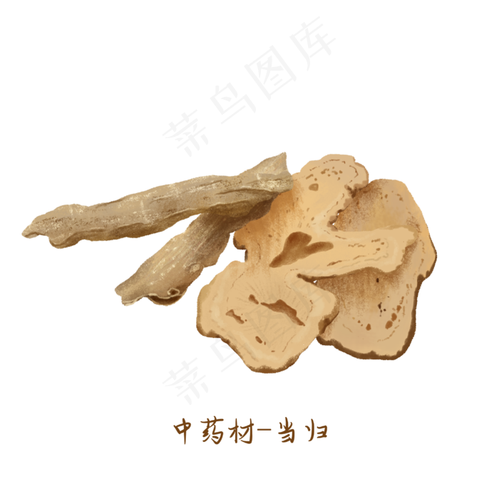 中医药材当归,免抠元素(3000*3000px 300 dpi )psd模版下载