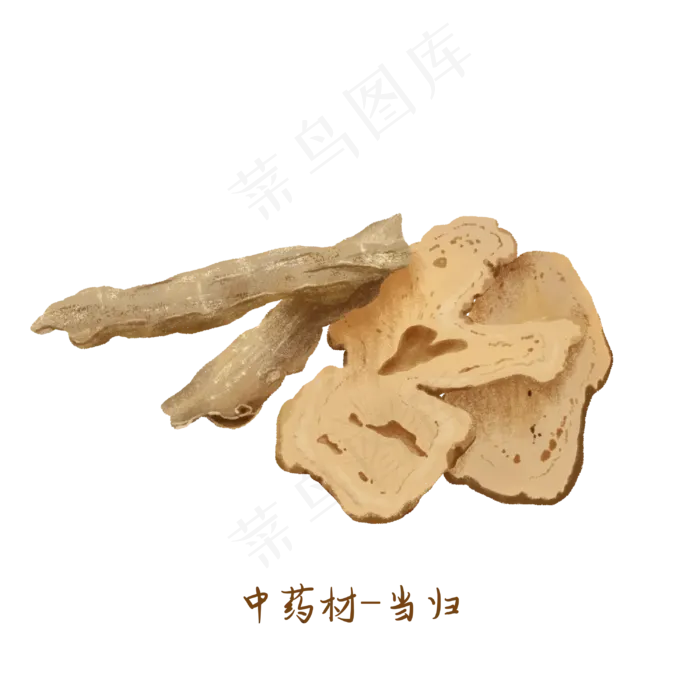 中医药材当归,免抠元素(3000*3000px 300 dpi )psd模版下载