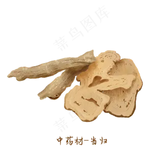 中医药材当归,免抠元素