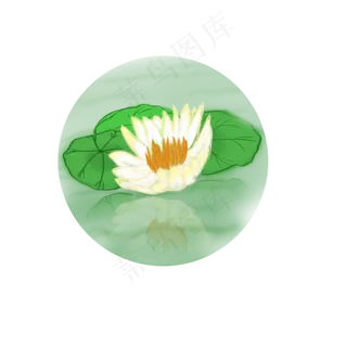 手绘荷花清新睡莲手账素材白色商