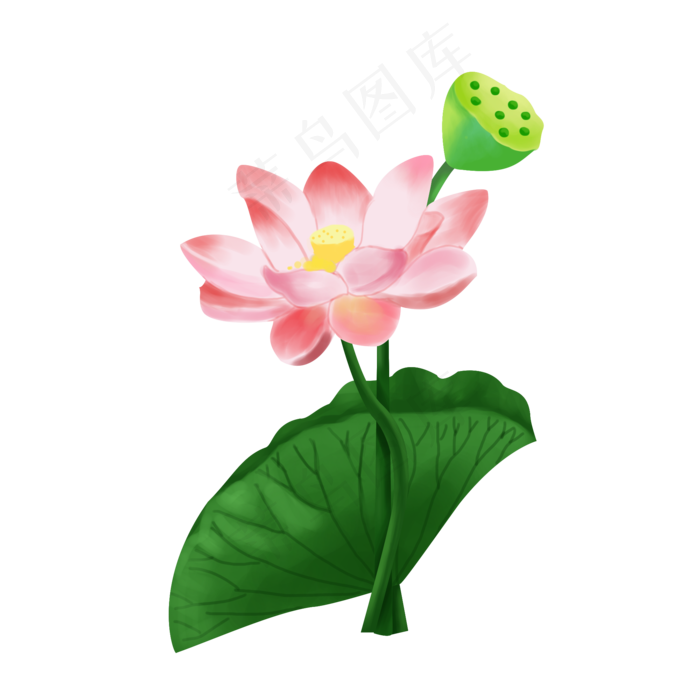 粉色的荷花(2000X2000(DPI:300))psd模版下载