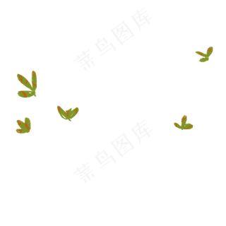 春天绿色植物叶子下载