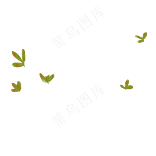 春天绿色植物叶子下载