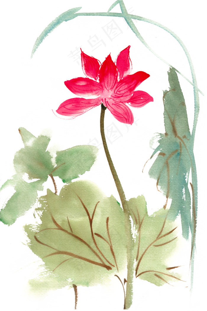 鲜艳荷花水彩画PNG免抠素材(4724X7087(DPI:300))psd模版下载