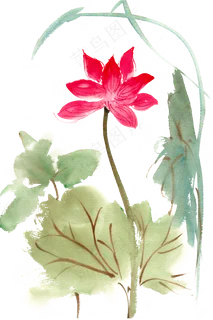 鲜艳荷花水彩画PNG免抠素材